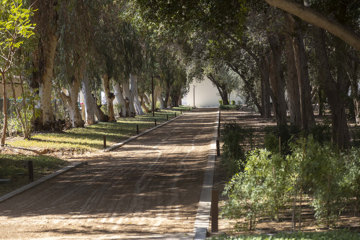 Royal Club Abu Dhabi