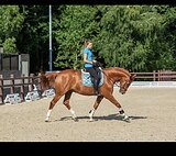 По запросу, срочная продажа