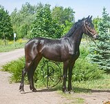 Кобыла