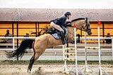 ДВАЖДЫ АБСОЛЮТНЫЙ ЧЕМПИОН