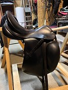 Prestige Top Dressage