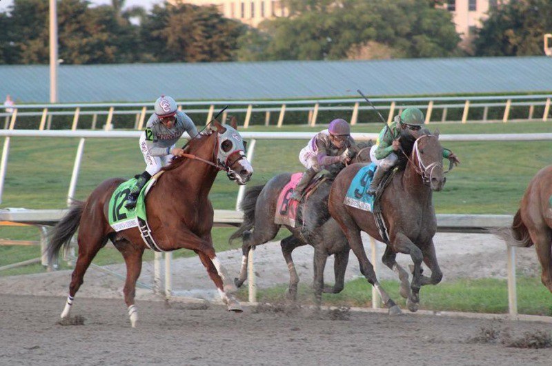 Ипподром Gulfstream Park 2017 год, скачка Pegasus World Cup G1