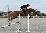 Перспективная в спорт