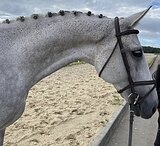 МЕРИН В ХОББИ