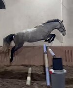 Срочно! В любительский конк