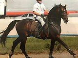 СНИЖЕНИЕ СТОИМОСТИ