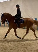 Чуткая кобыла