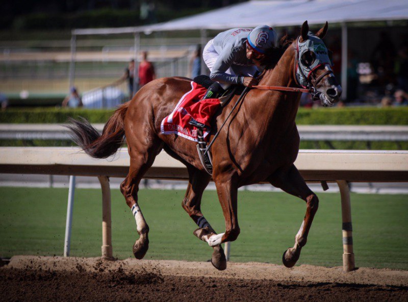 Ипподром Santa Anita Park 2016 год, скачка Awesome Again Stakes G1