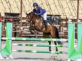Конкурная кобыла