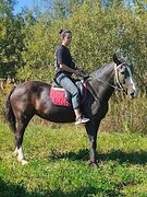 Любимица детей и взрослых