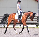 МЕРИН В ВЫЕЗДКУ