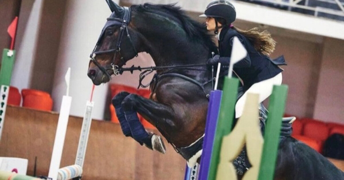 Профессиональный конный спорт