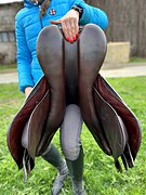  Equiline Closer Jump 17/33()