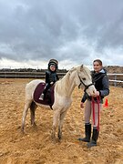 Уэльский пони сектор В