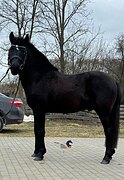 СОВСЕМ НЕДОРОГО. КТО ИСКАЛ 