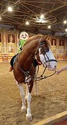 НАРЯДНЫЙ ПОТОМОК ПЕЙНТХОРС