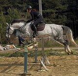 МАРШРУТЫ 70 • 1/2 ИМПОРТ • ПЕ