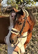 ХОДИТ В ПОЛЯ, БЕЗОПАСНАЯ