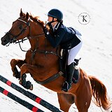 БУДЕННОВСКИЙ МЕРИН 7 ЛЕТ