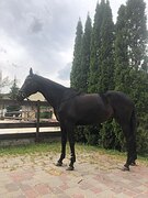 детские езды + юноши