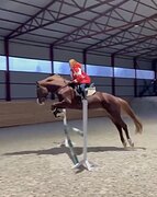 ВЫСОКИЙ, МОЛОДОЙ, НАРЯДНЫЙ