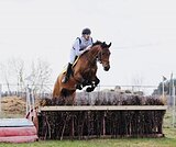 УНИВЕРСАЛЬНАЯ КОБЫЛА