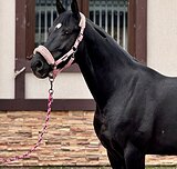 МАРШРУТЫ 105-110