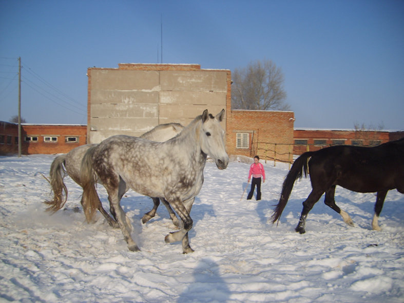 Сера Парочка