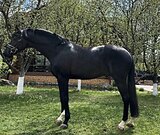 SECRET /SANDRO HIT 2021