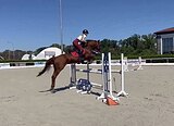 АБСОЛЮТНО под любого всадн