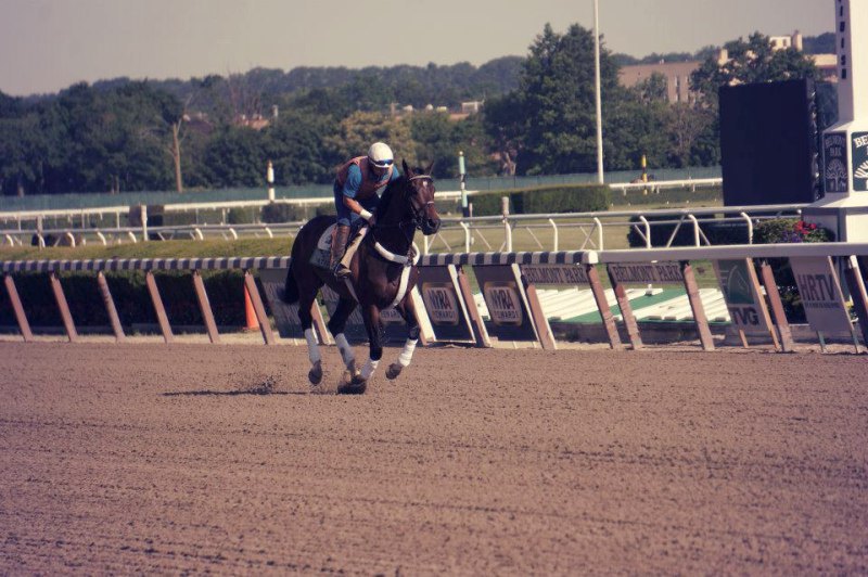 Ипподром Belmont Park 2012 год, подготовка к последнему этапу Тройной Короны - Belmont Stakes.