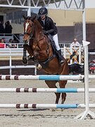 МАРШРУТЫ 110-120