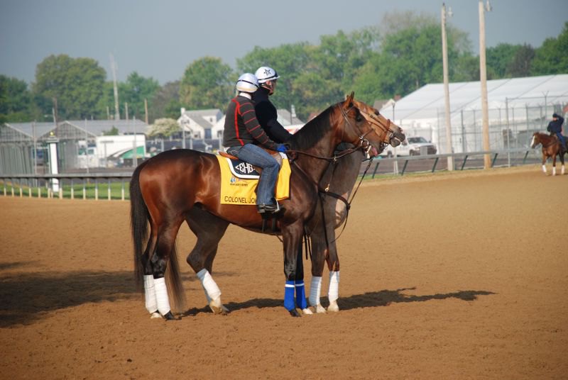 Ипподром Churchill Downs 2008 год, подготовка к первому этапу Тройной Короны - Kentucky Derby.