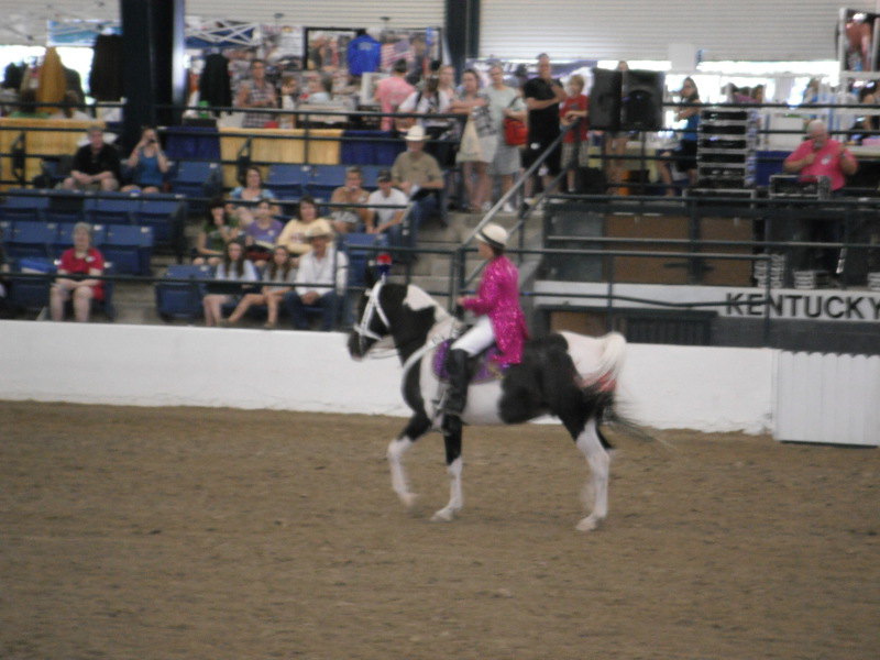 At the Lexington Kentucky Horse Park, Breyerfest in Kentucky, America. July 2012 