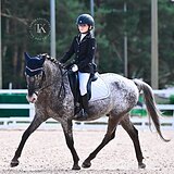 ПОНИ НА ДЕТСКИЕ ЕЗДЫ