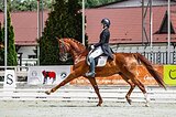 Санта Клаус