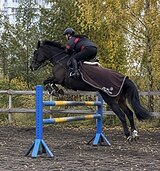 МАРШРУТЫ 120 ПОД РЕБЕНКА