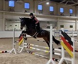 КОБЫЛА В КОНКУР