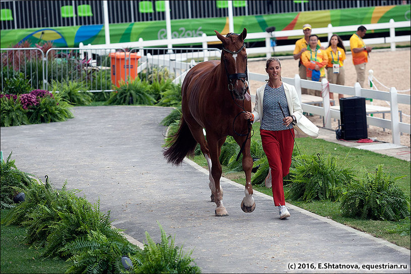 CORNELISSEN, Adelinde/PArsival