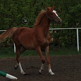 ОЧЕНЬ КОНТАКТНАЯ