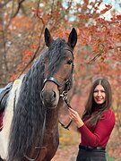 Срочная продажа.Начинающим