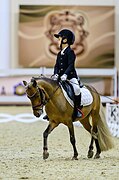 Маленький чемпион 