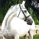 НА МАРШРУТЫ ДО 140 СМ