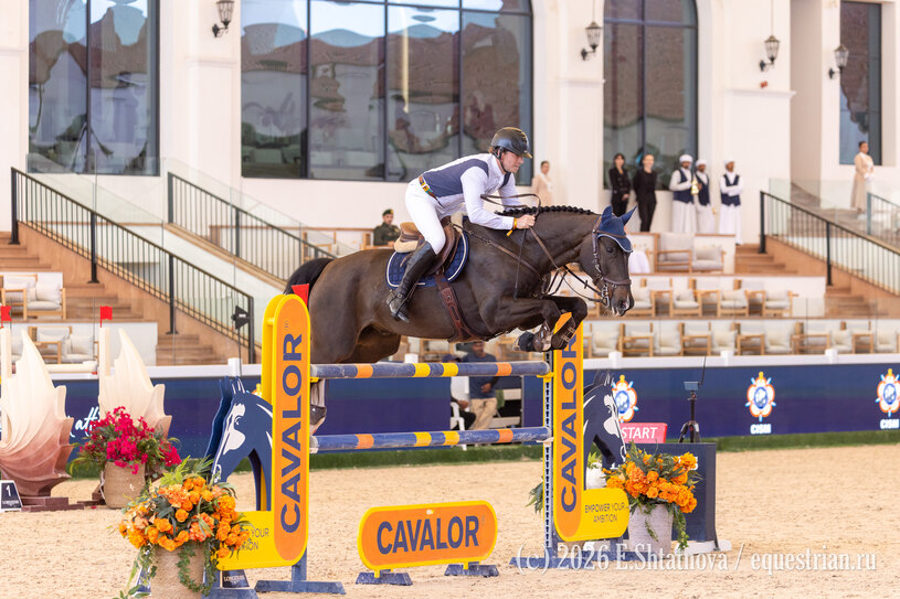 Неретникс Кристапс / Sir_Schmidt