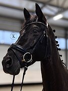 УРОВЕНЬ ЮНОШЕСКИХ ЕЗД