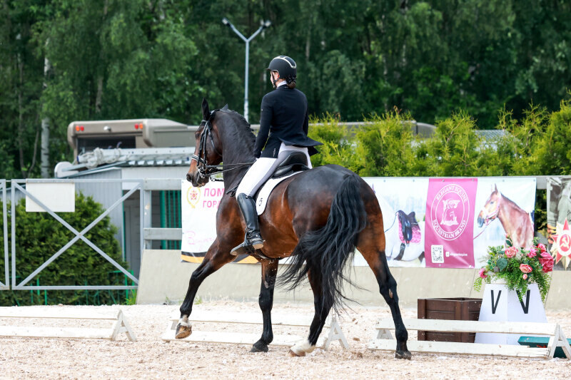 АМИГО-08 и Левашова Вероника