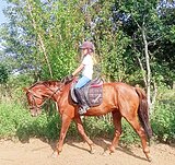 для детей и начинающих