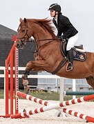 МЕРИН ПОД РЕБЕНКА