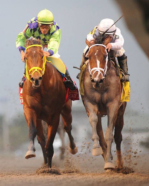 Ипподром Gulfstream Park 2014 год, скачка Besilu Florida Derby - Gr. 1