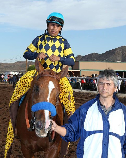 Ипподром Sunland Park 2014 год, скачка Sunland Derby - Gr. 3